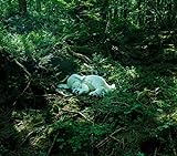 slumbers -Deluxe Edition(CD +オマケ)-